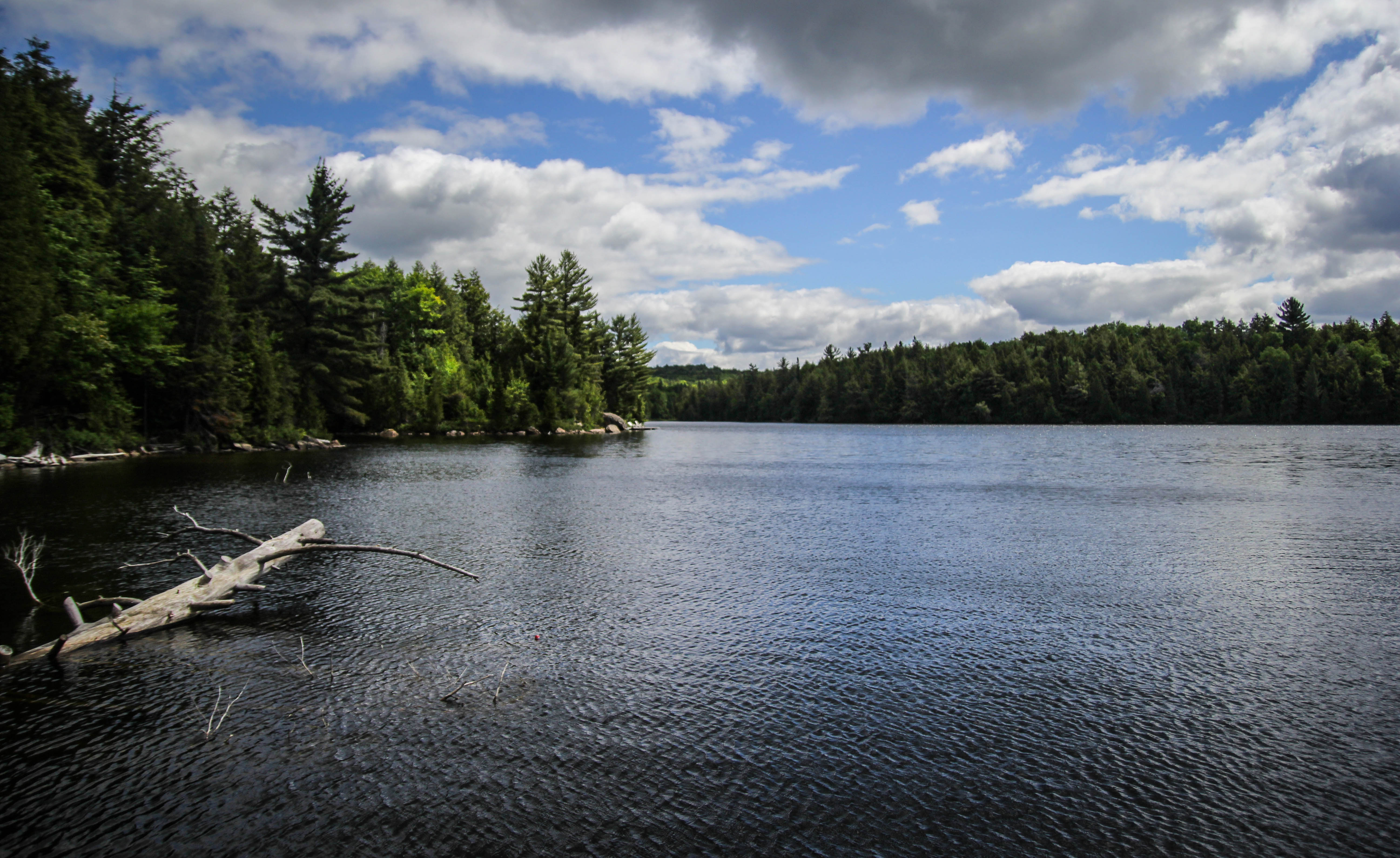 Algonquin National Park