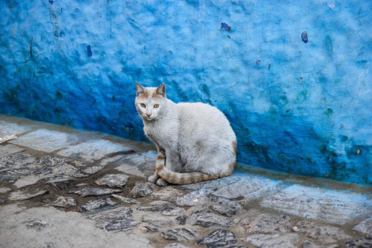 IMG_0431 (FILEminimizer)