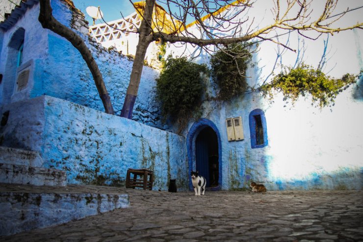 IMG_0445 (FILEminimizer)